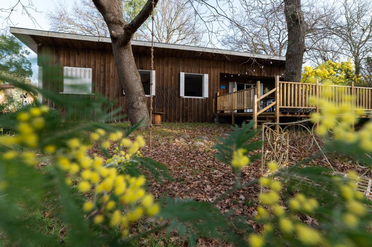 La Petite Maison Du Lac Biscarrosse Exteriér fotografie